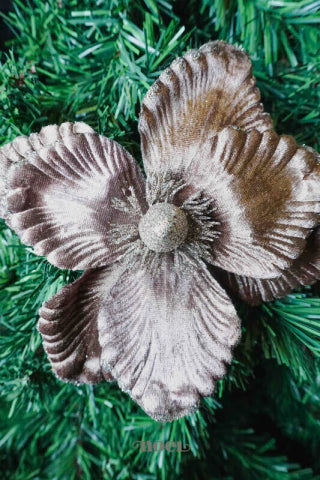 Flor natalina poinsettia veludo/glitter marrom - 24cm c/1